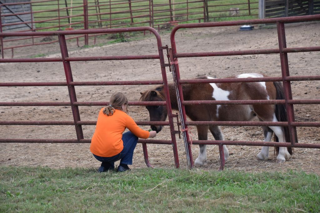 riddle center barn event 10-19 167 (1024x683).jpg